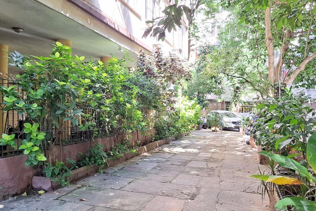 Apartamento Flat Felipe De Oliveira 2 Rio de Janeiro